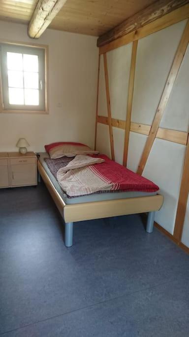 Mothsgut - Moderne Ferienwohnung Auf Dem Bauernhof Im Erzgebirge Oelsnitz  Eksteriør billede